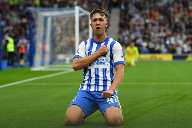 会时的精细 会时的精细